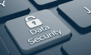 Protecting What Matters: Data Security Essentials for Startup Studios