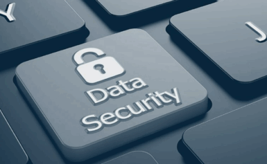 Protecting What Matters: Data Security Essentials for Startup Studios